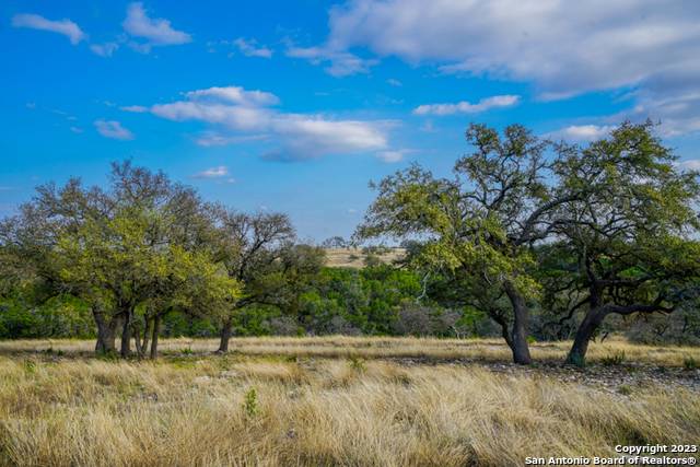 Kerrville, TX 78028,LOT 84 LOMA VISTA RANCH #2