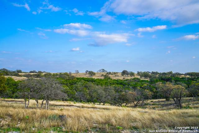 Kerrville, TX 78028,LOT 84 LOMA VISTA RANCH #2