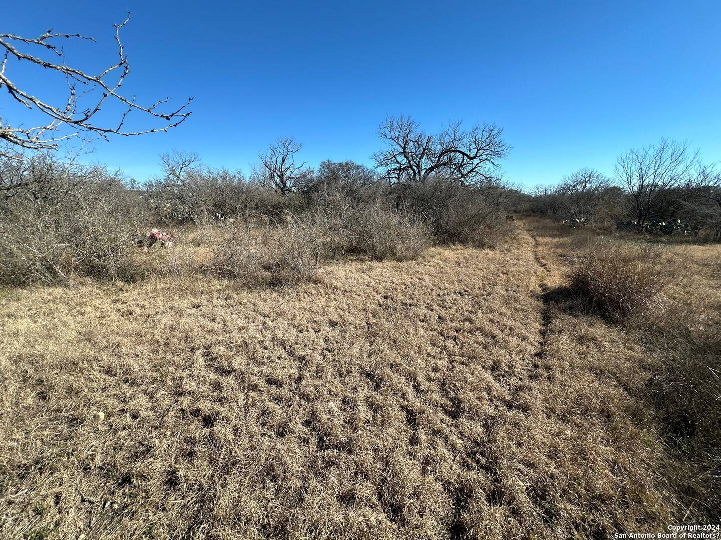 Hondo, TX 78861,201 PR 4656