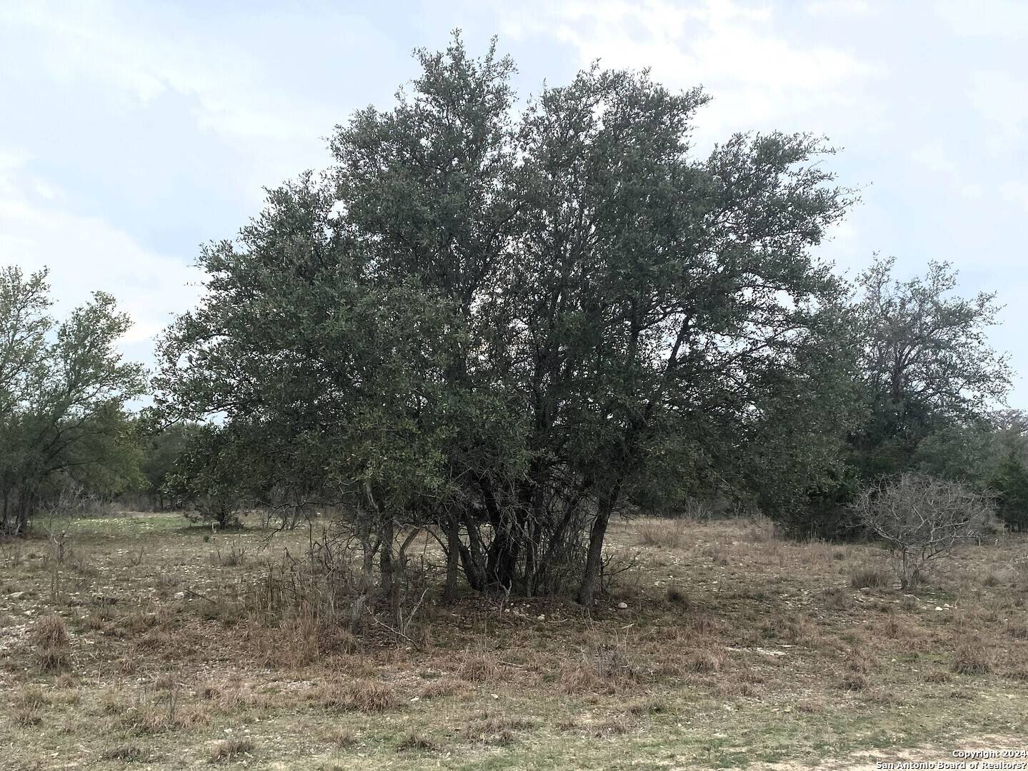 Bandera, TX 78003,LOTS 3-4 QUAIL RUN