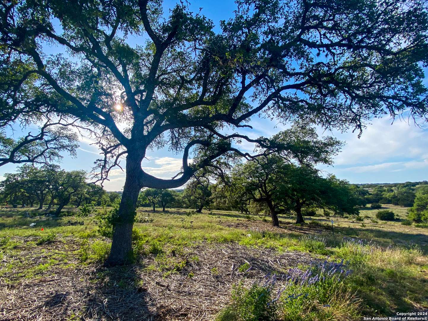 Kerrville, TX 78028,LOT 153 Loma Vista Ranch