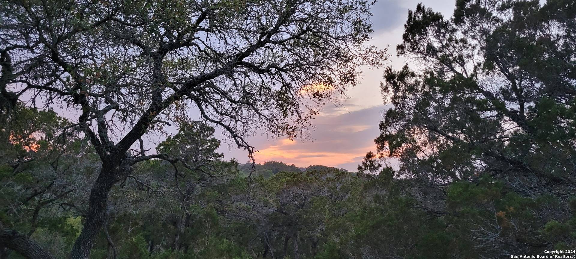 Bulverde, TX 78163,2515 Smoke Rise Canyon