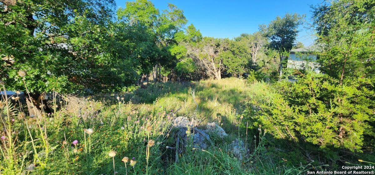 Spring Branch, TX 78070,1697 winding creek