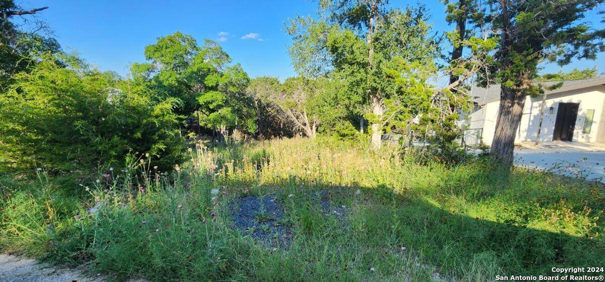 Spring Branch, TX 78070,1697 winding creek