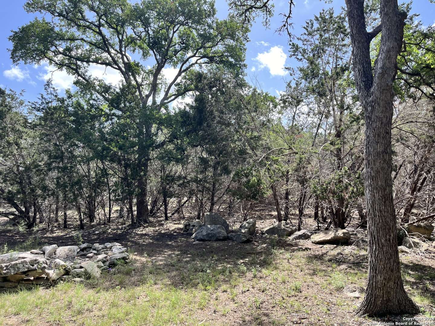 Spring Branch, TX 78070,1656 Cypress Pass Road