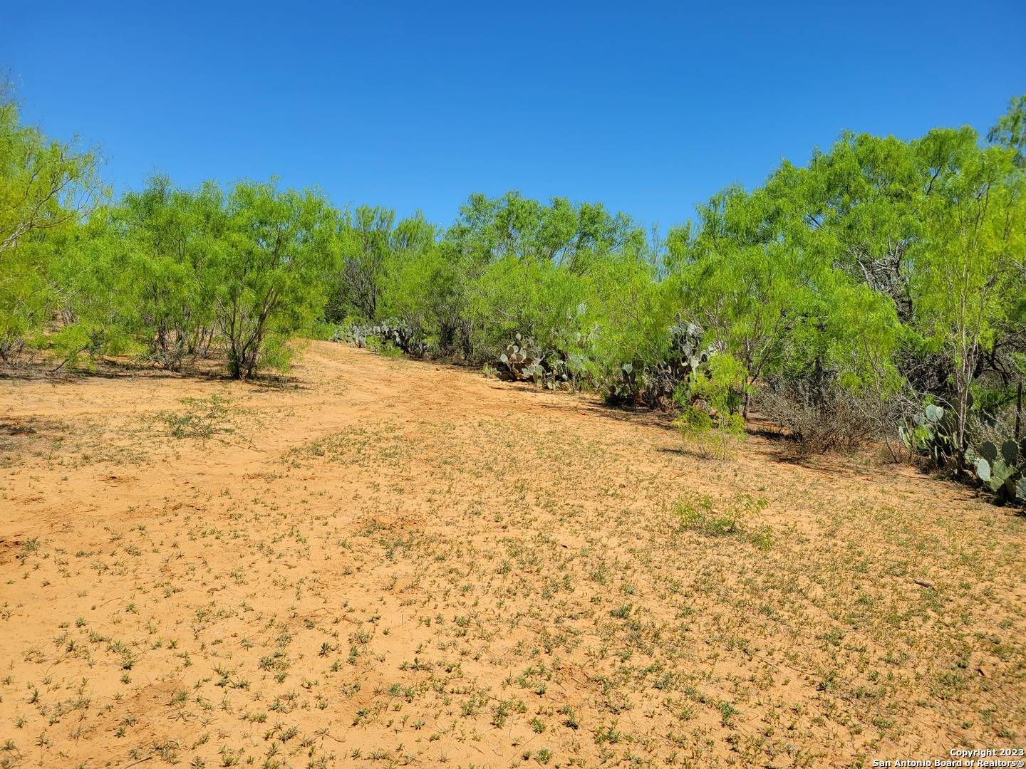 Yancey, TX 78886,TBD LOT 3 Cr 7421