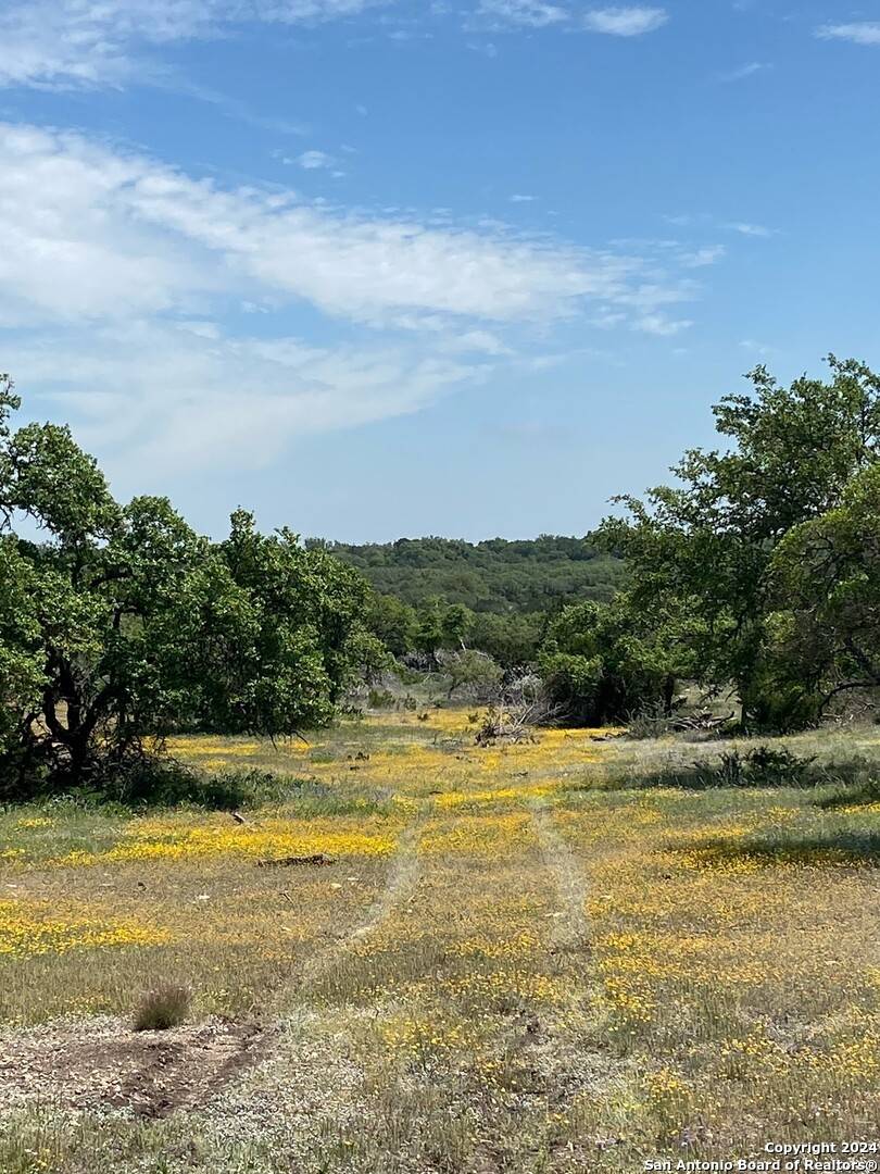 Junction, TX 76849,TBD TAURUS LN Taurus