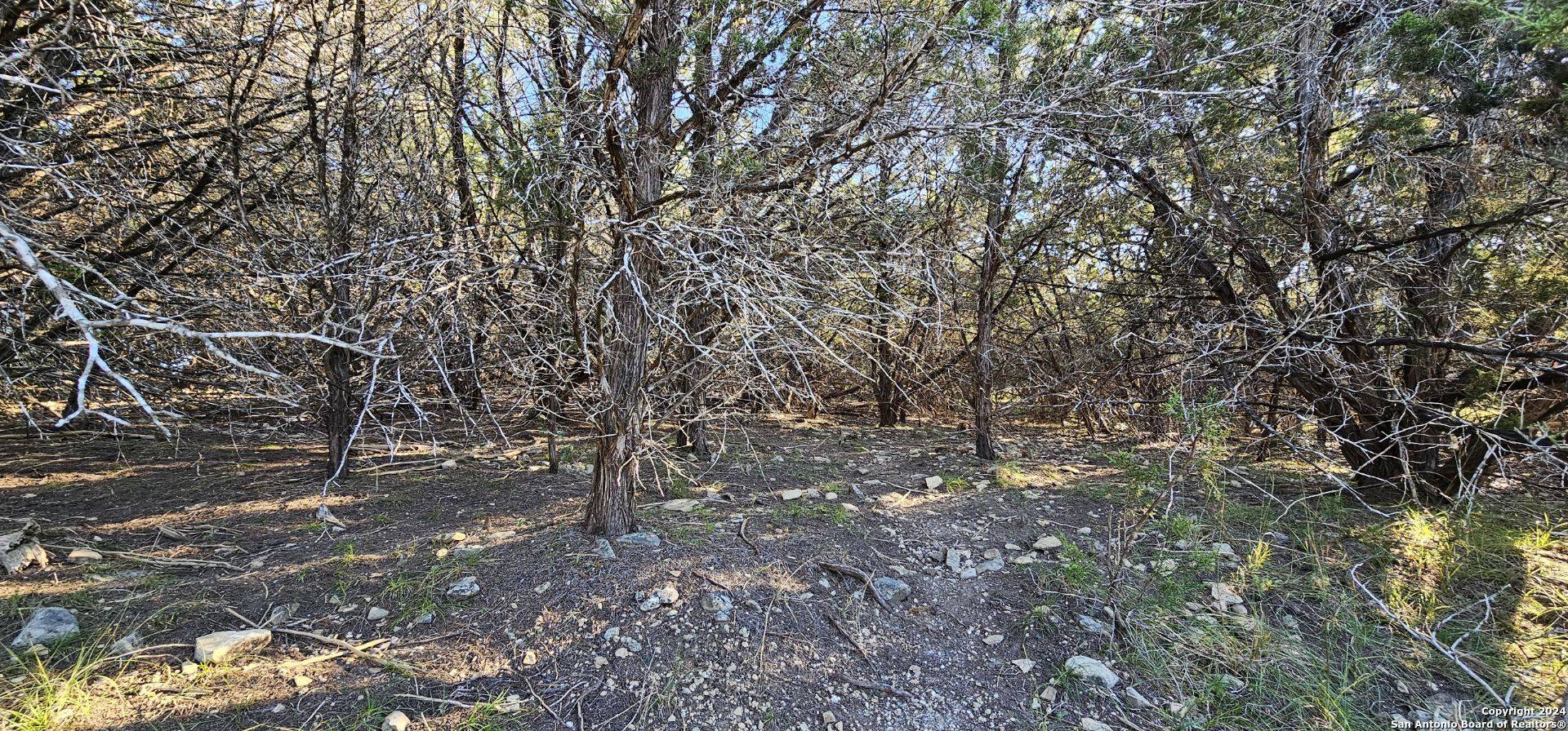 Spring Branch, TX 78070,8207 FOXCROSS DR