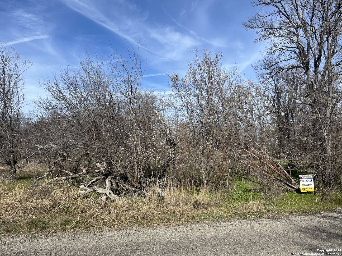 Kingsland, TX 78639,1641 Geronimo Trail