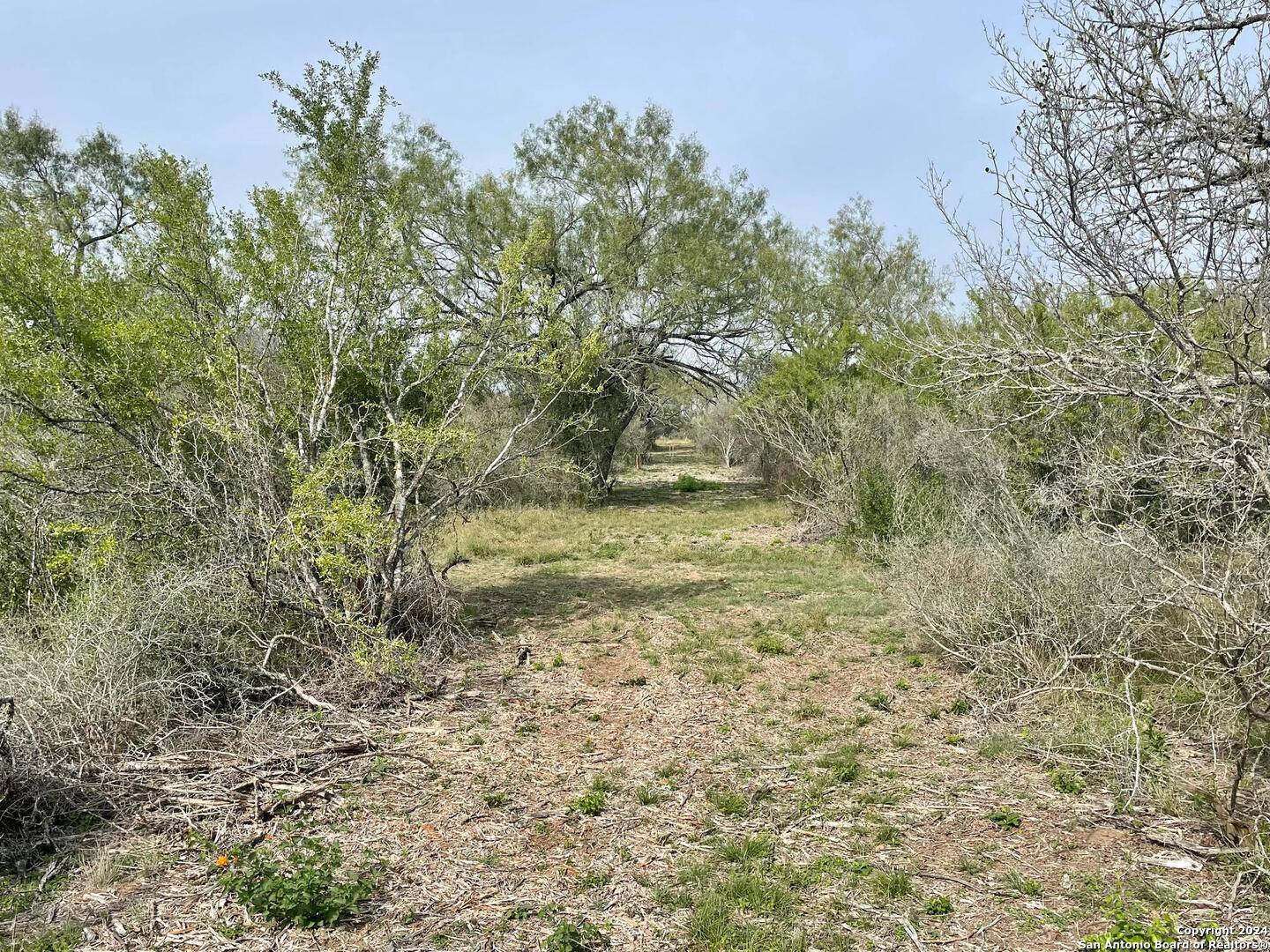Moore, TX 78057,173 county road 1670