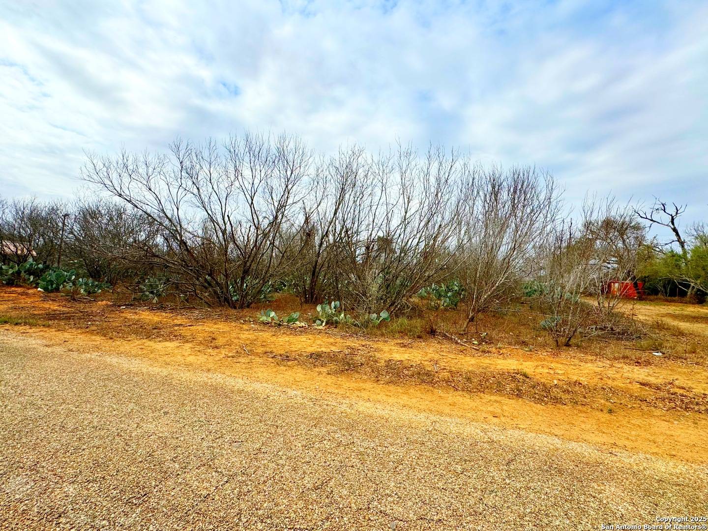 Moore, TX 78057,TBD Old Hwy 81 Lot 6