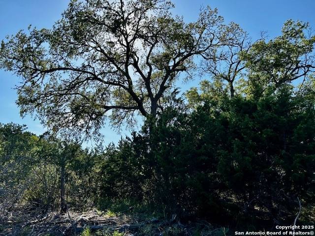 Spring Branch, TX 78070,1239 Mystic