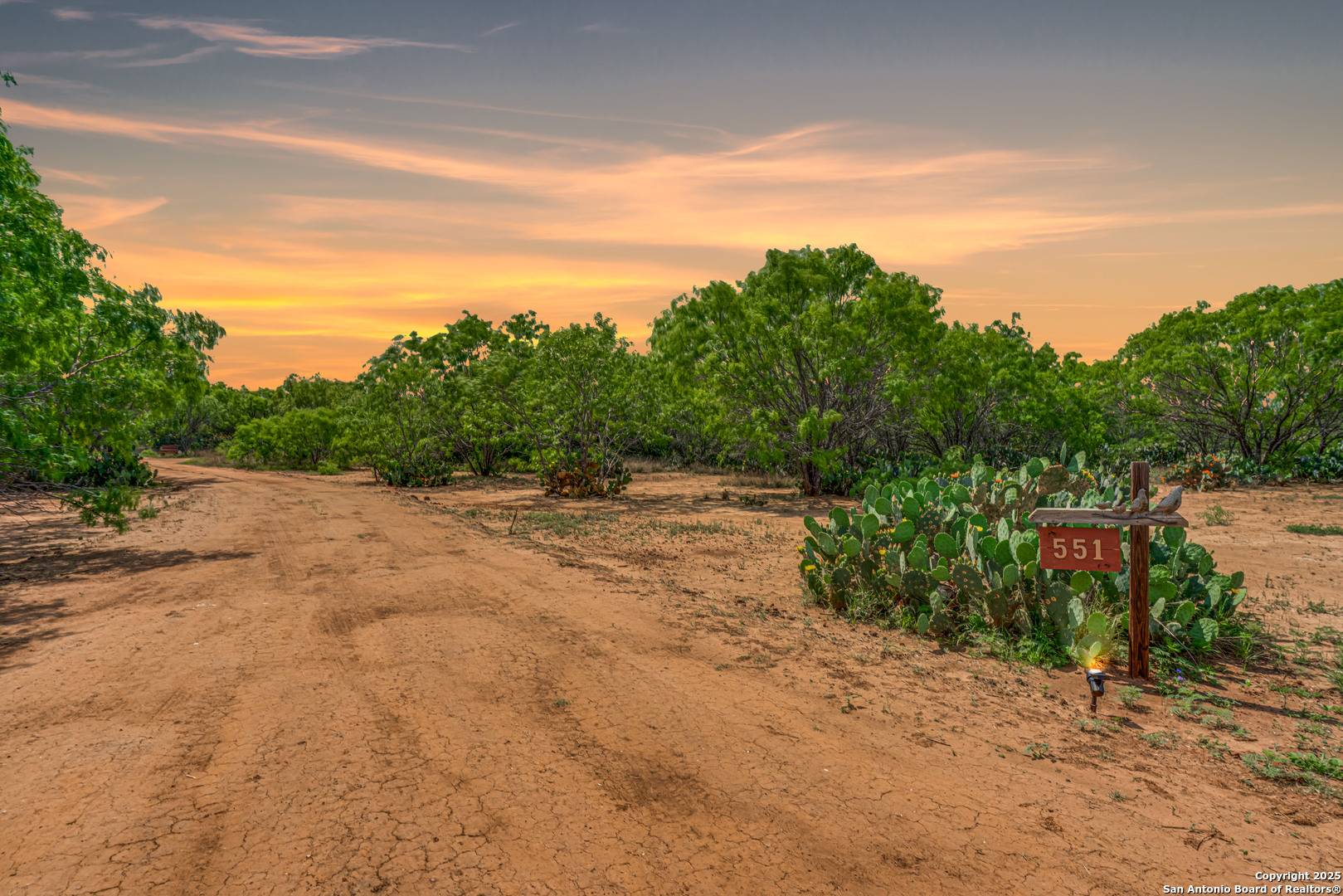 Floresville, TX 78114,551 Pr Mia