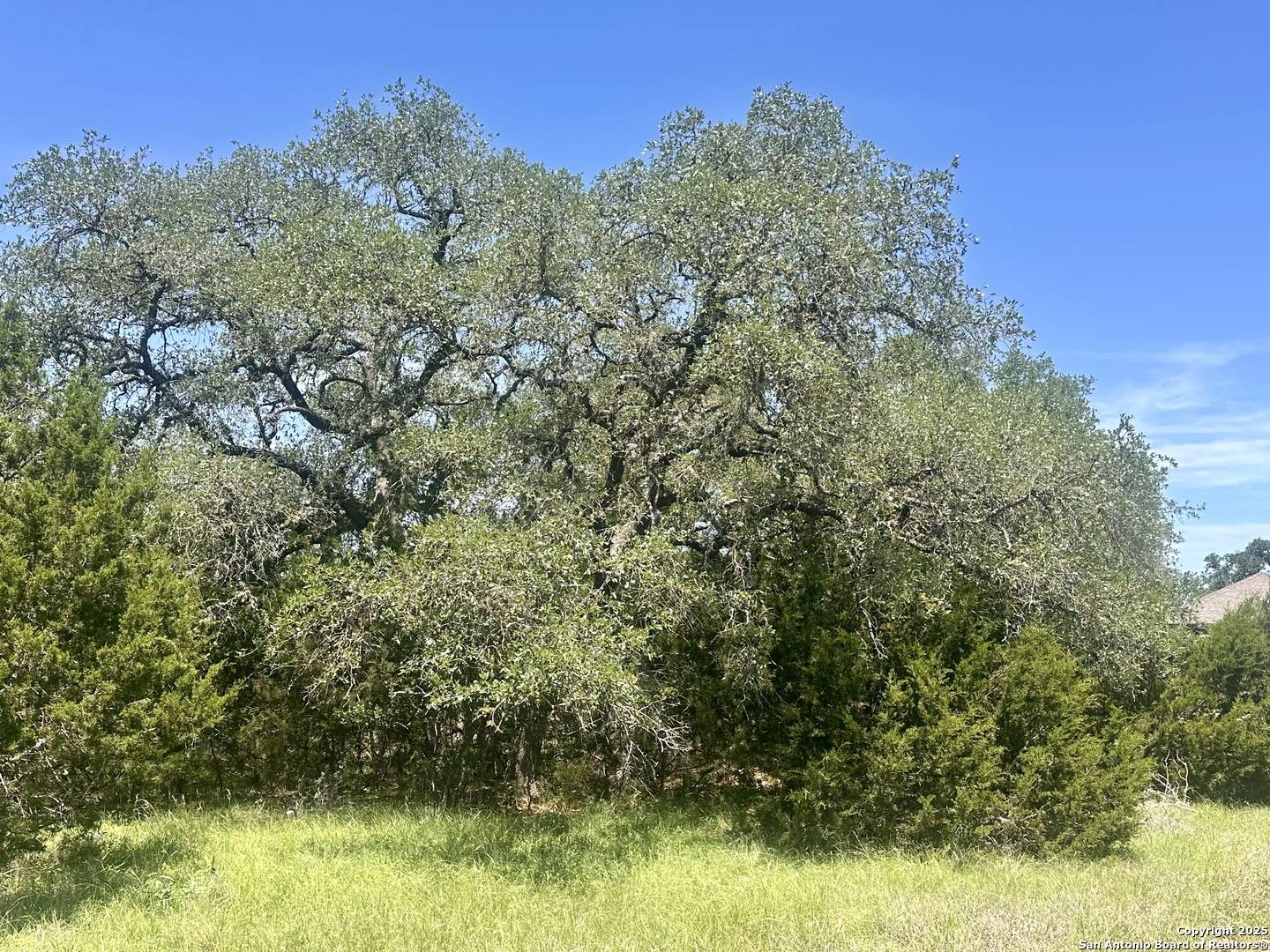 New Braunfels, TX 78132,0 Tbd Game Trail