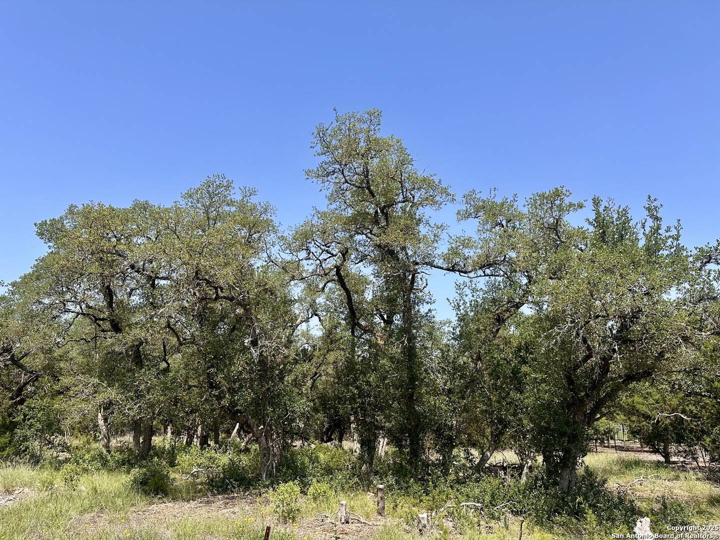 New Braunfels, TX 78132,288 Pioneer Crest
