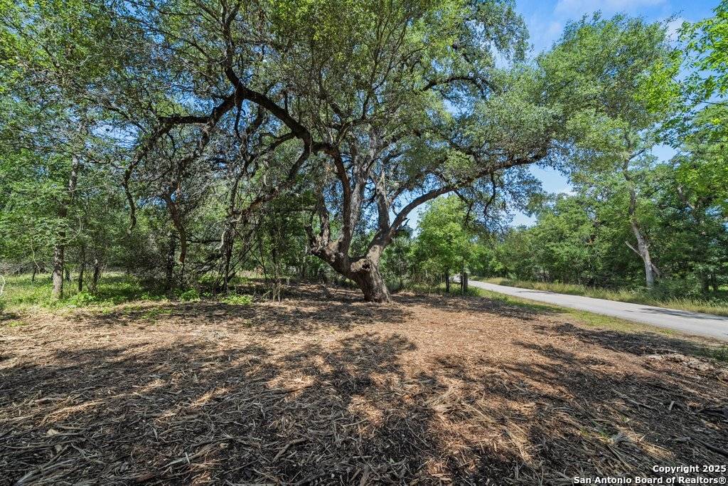 New Braunfels, TX 78130,240 Caney Creek Road