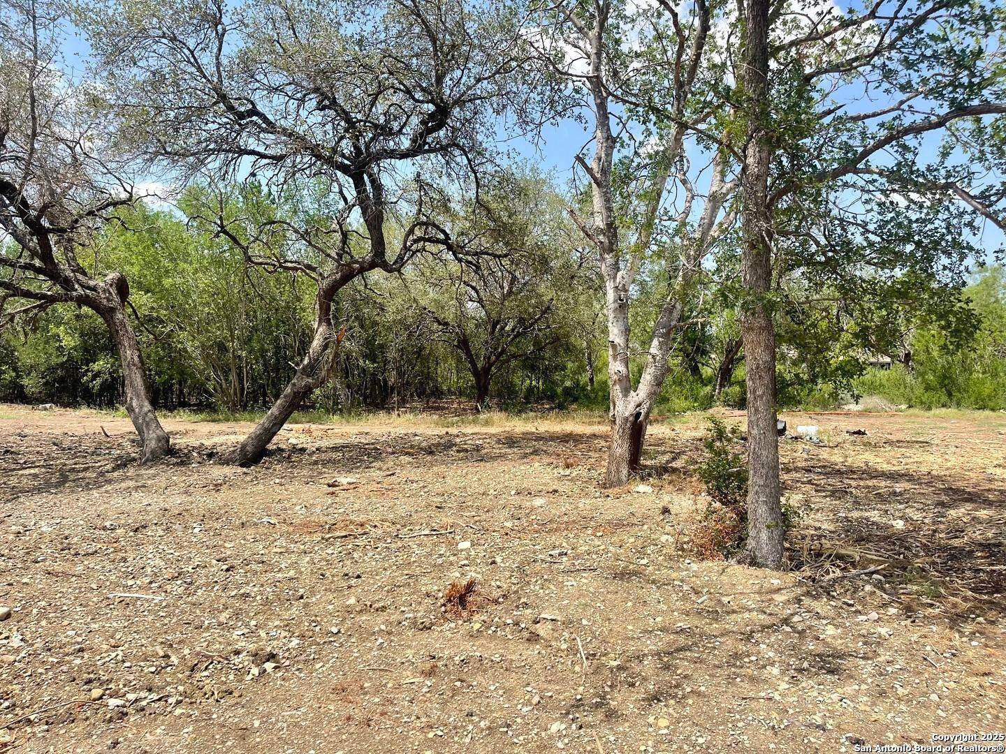 San Antonio, TX 78242,117 DIAMOND CV