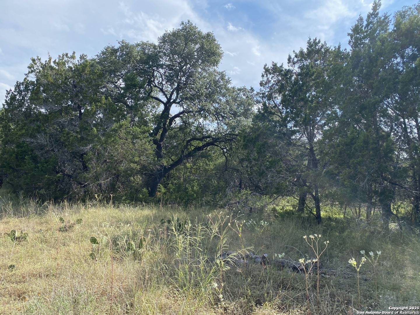Spring Branch, TX 78070,296 Recreation