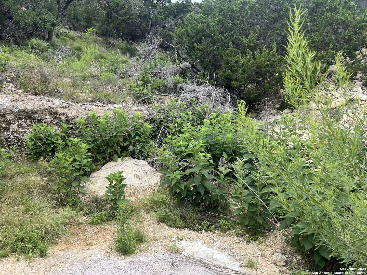 Canyon Lake, TX 78133,1609 Trail Pass