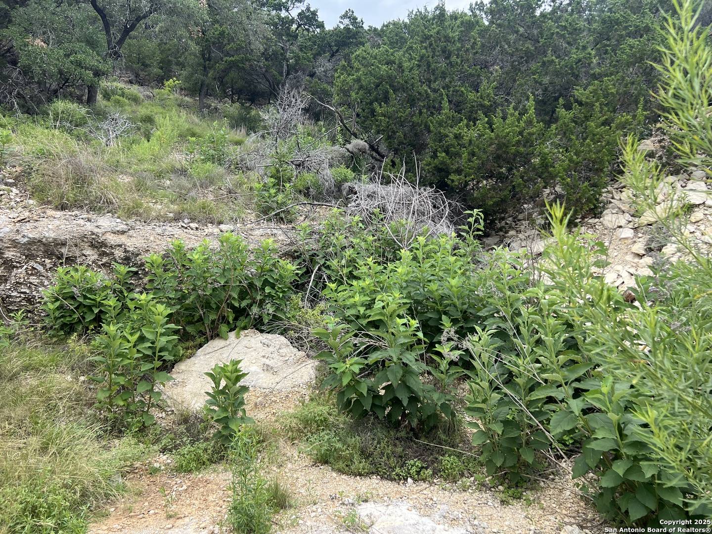 Canyon Lake, TX 78133,1609 Trail Pass