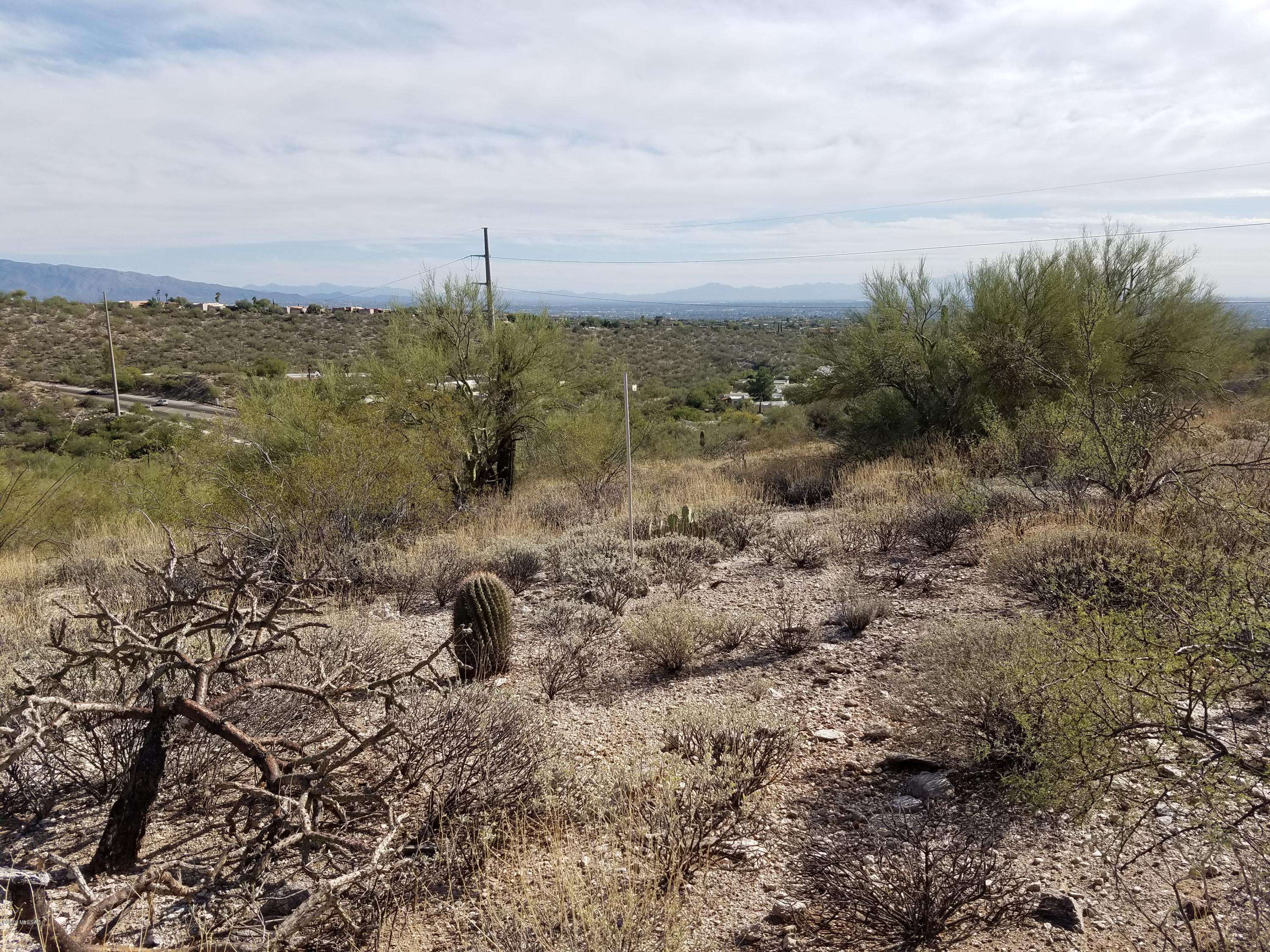 Tucson, AZ 85750,5590 N Cimarron Vista Court #93
