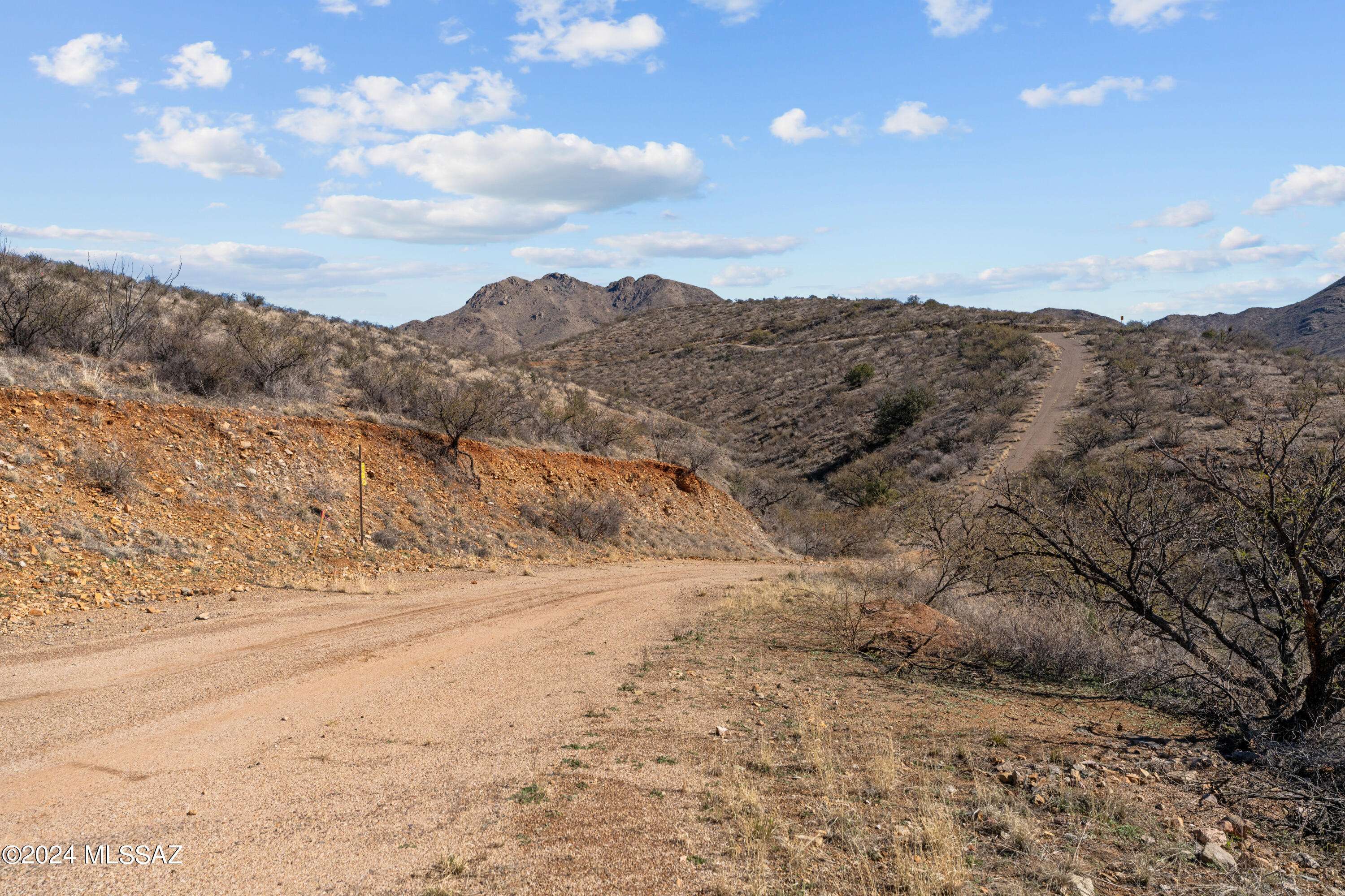 Rio Rico, AZ 85648,299 Circulo Cerro  #0