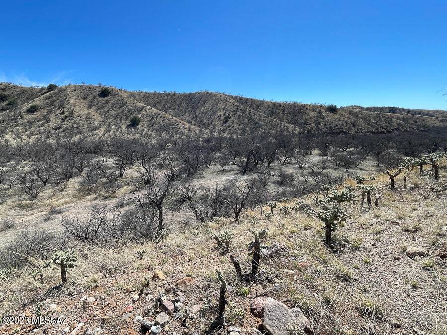 Rio Rico, AZ 85648,TBD Sonoita Creek Ranch Rd  #15