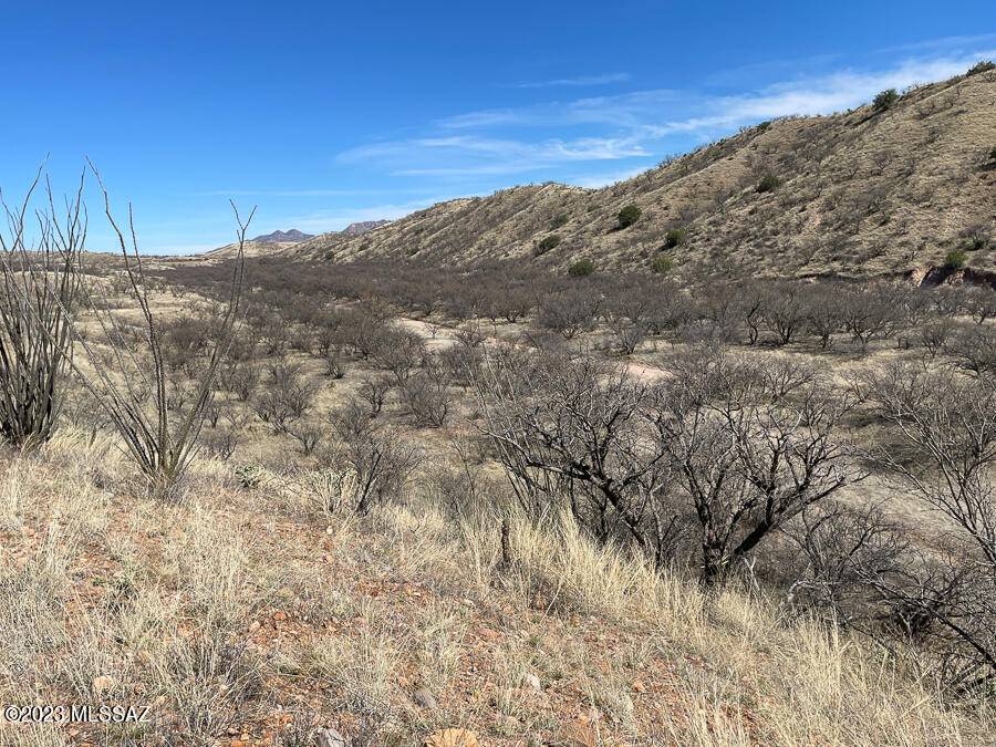 Rio Rico, AZ 85648,TBD Sonoita Creek Ranch Rd  #15