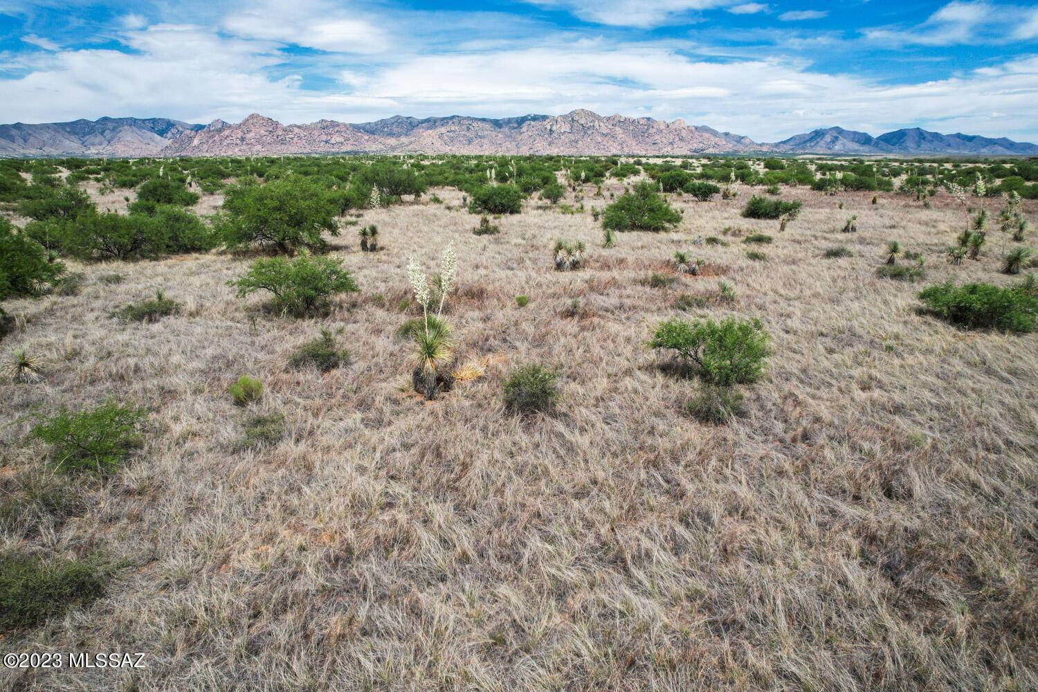 St. David, AZ 85630,36.33 Acre E Tom Jeffords Drive  #66