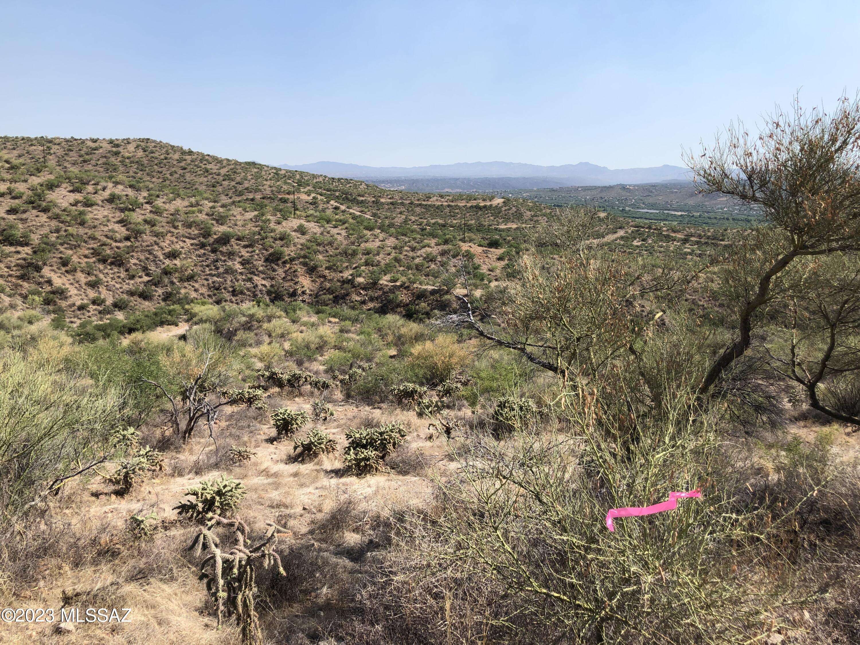 Rio Rico, AZ 85648,1565 Camino Bacalao  #46