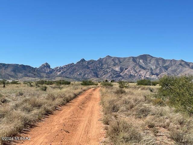 Pearce, AZ 85625,TBD 2 Lots on Justin Street #11/12