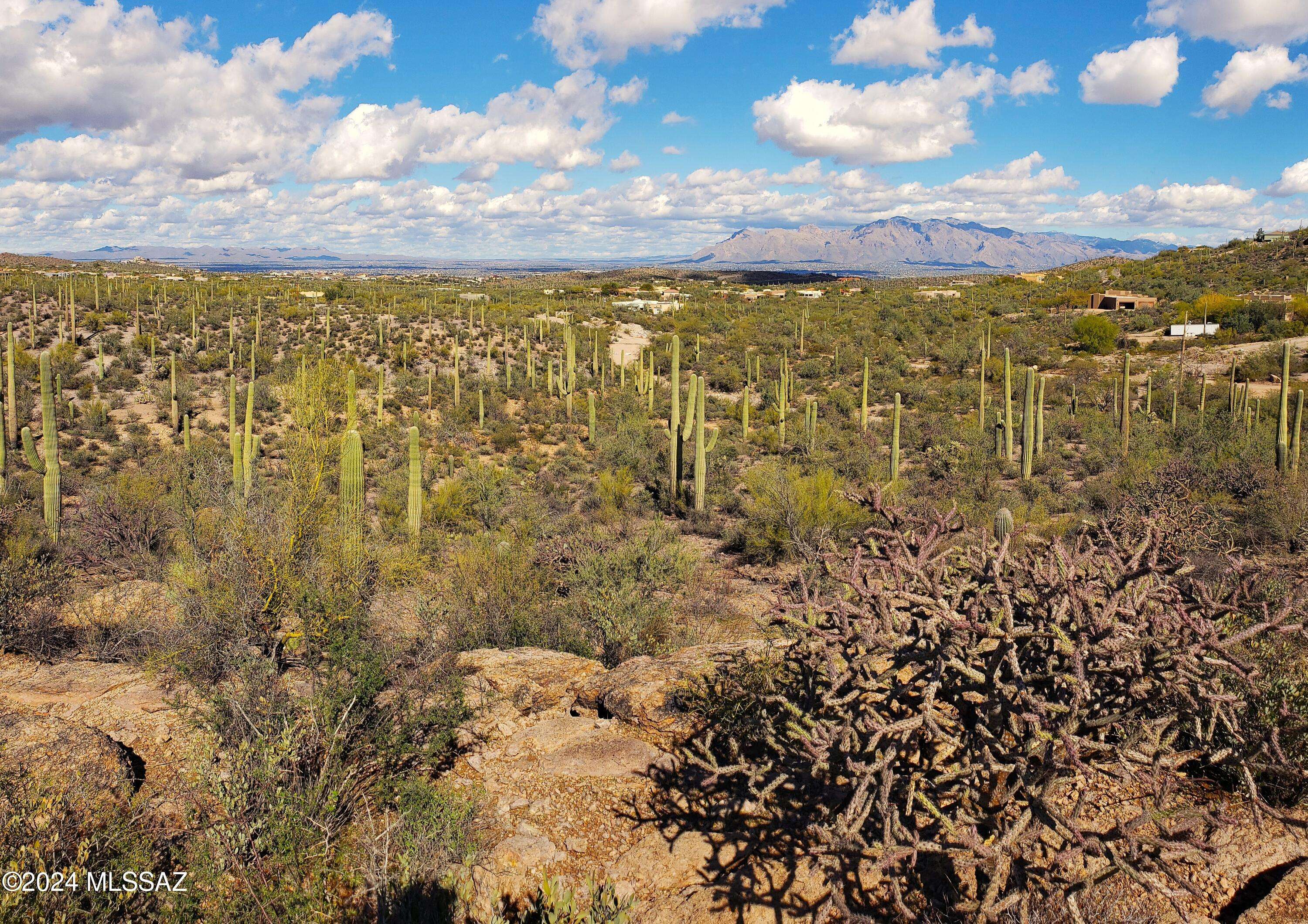 Tucson, AZ 85745,650BLK N Camino De Oeste  #Lot C