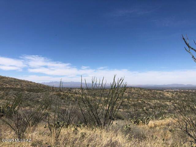 Vail, AZ 85641,10572 E Ocotillo Rim Trail #7