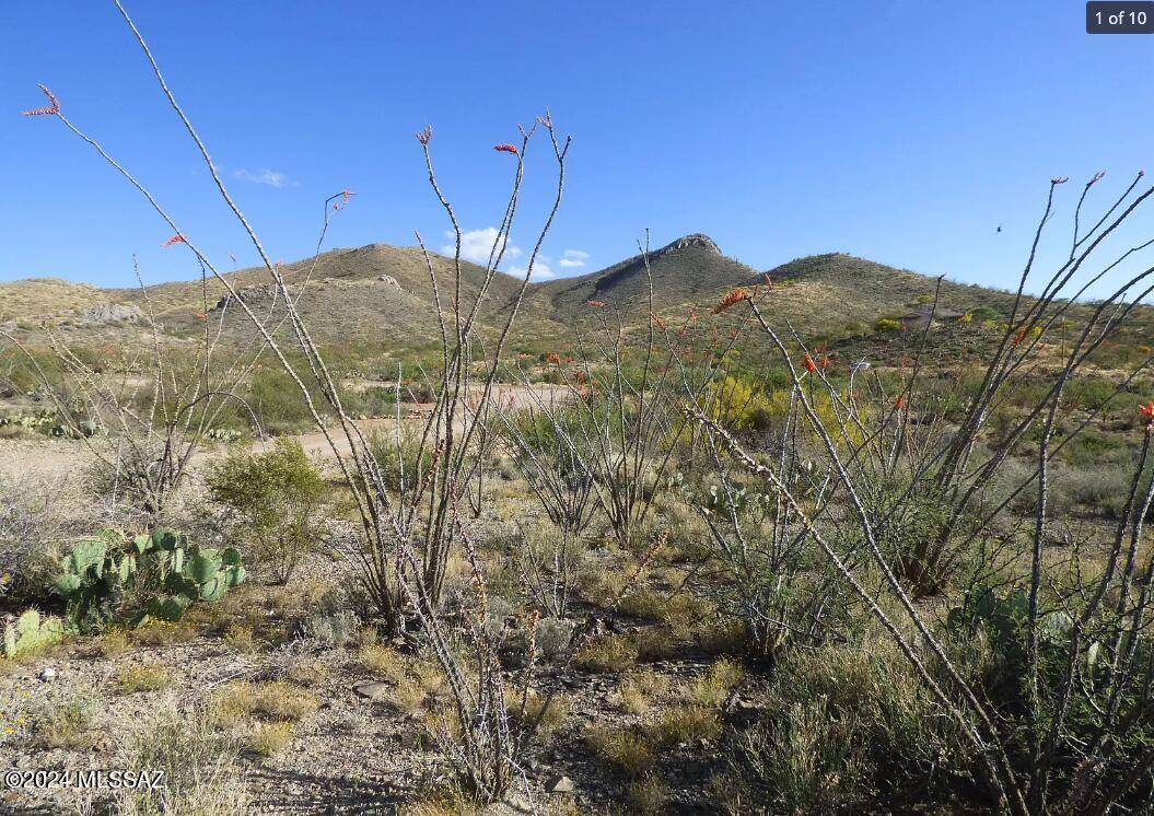 Vail, AZ 85641,9905 E Ocotillo Rim Trail #10C