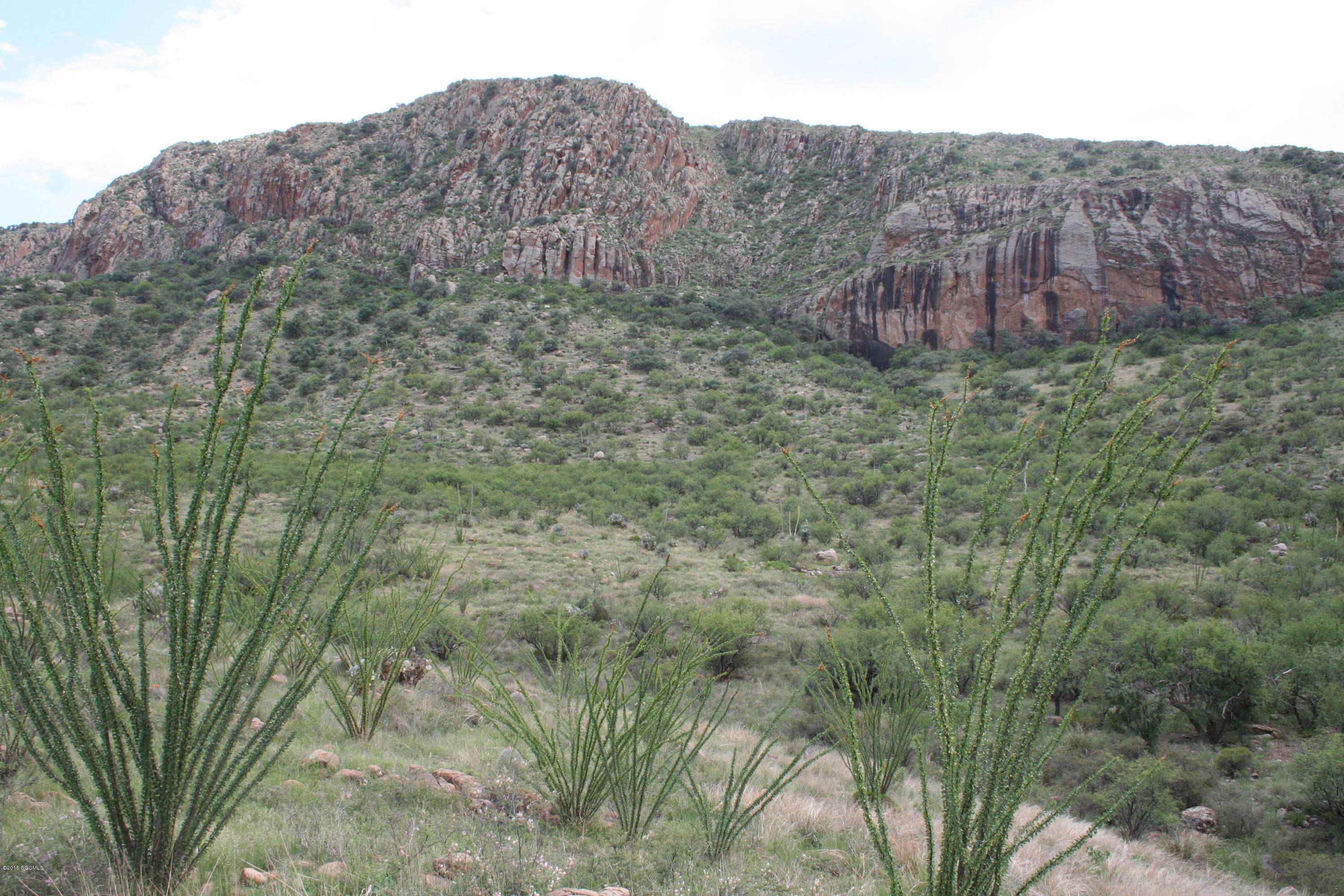 Tubac, AZ 85646,140 Tejano Springs Road #38.1