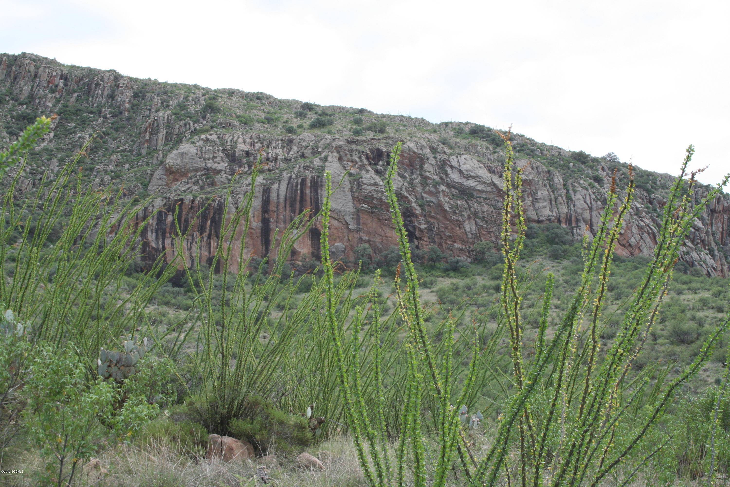 Tubac, AZ 85646,140 Tejano Springs Road #38.1
