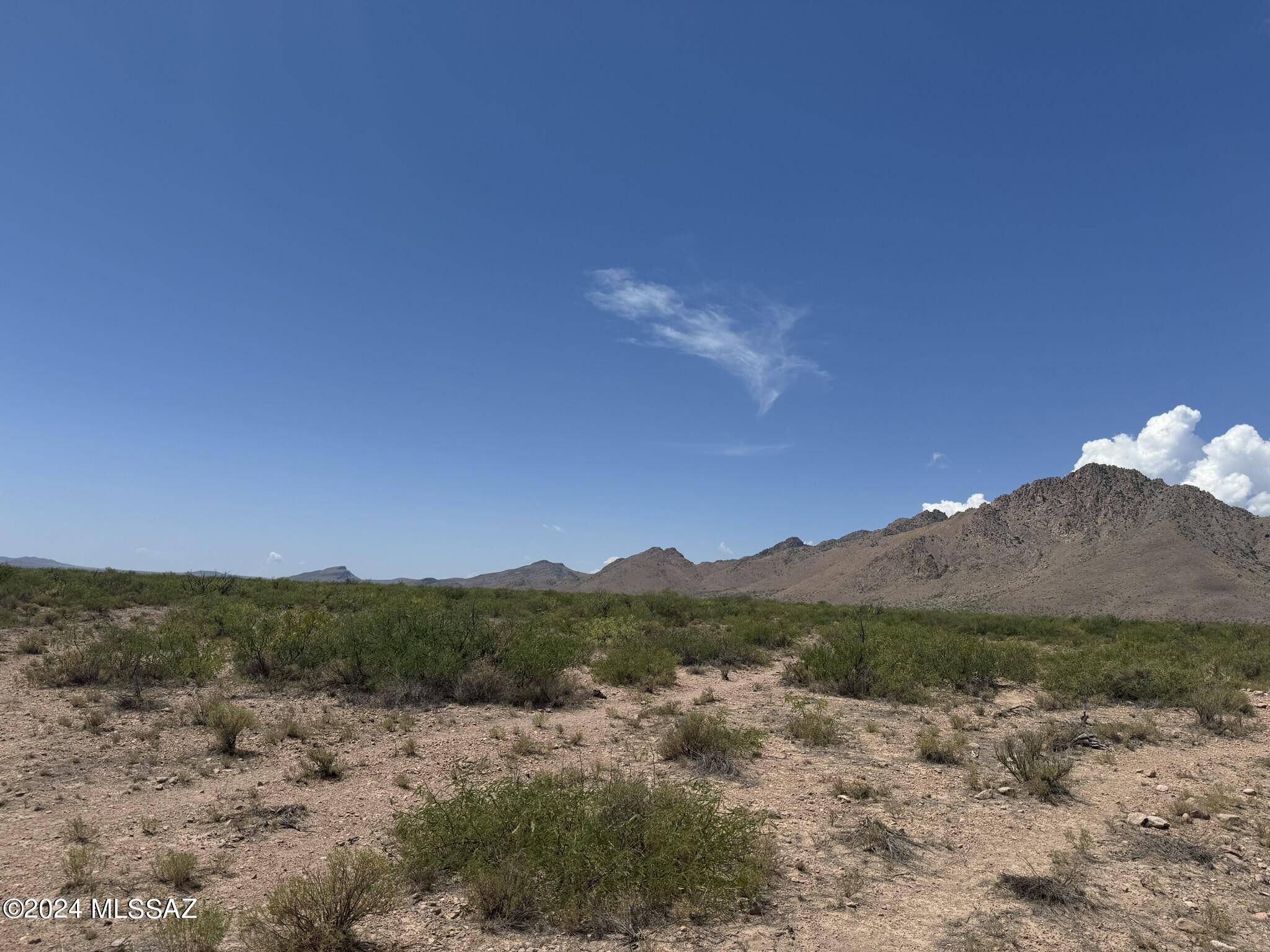 San Simon, AZ 85632,37.63 Acre E Sunrise Drive #0