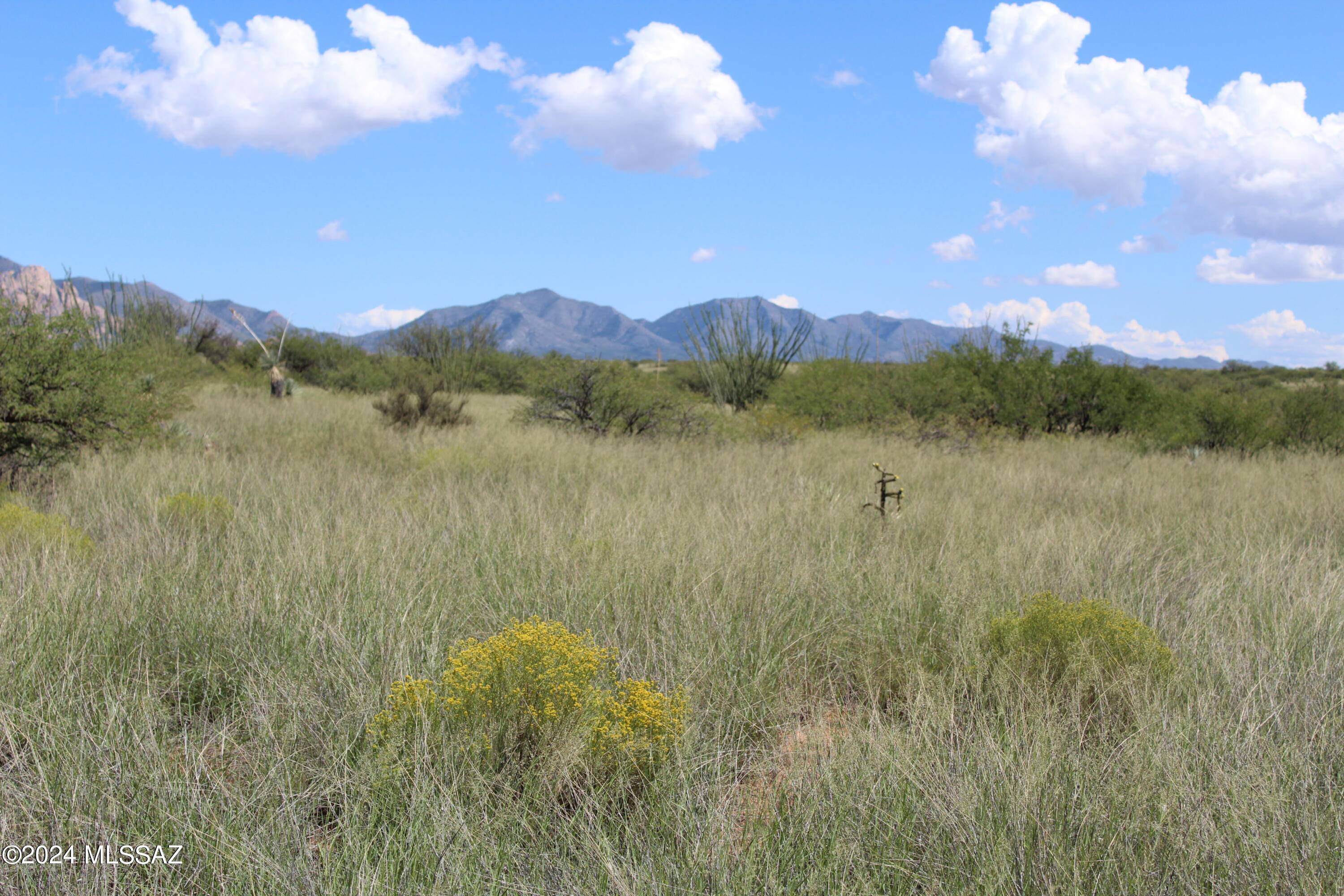 St. David, AZ 85630,TBD E Cochise Trail #3
