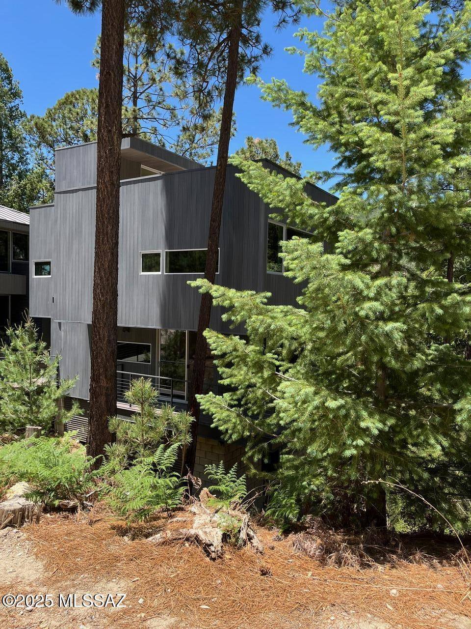 Mt. Lemmon, AZ 85619,12625 N Ray Avenue