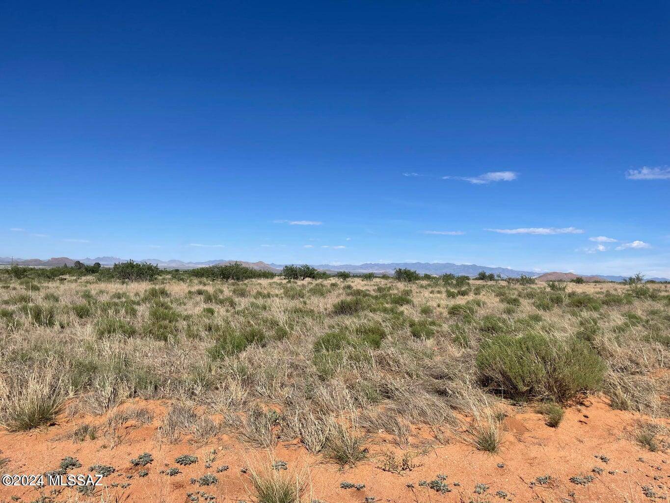 Pearce, AZ 85625,TBD March Street #4