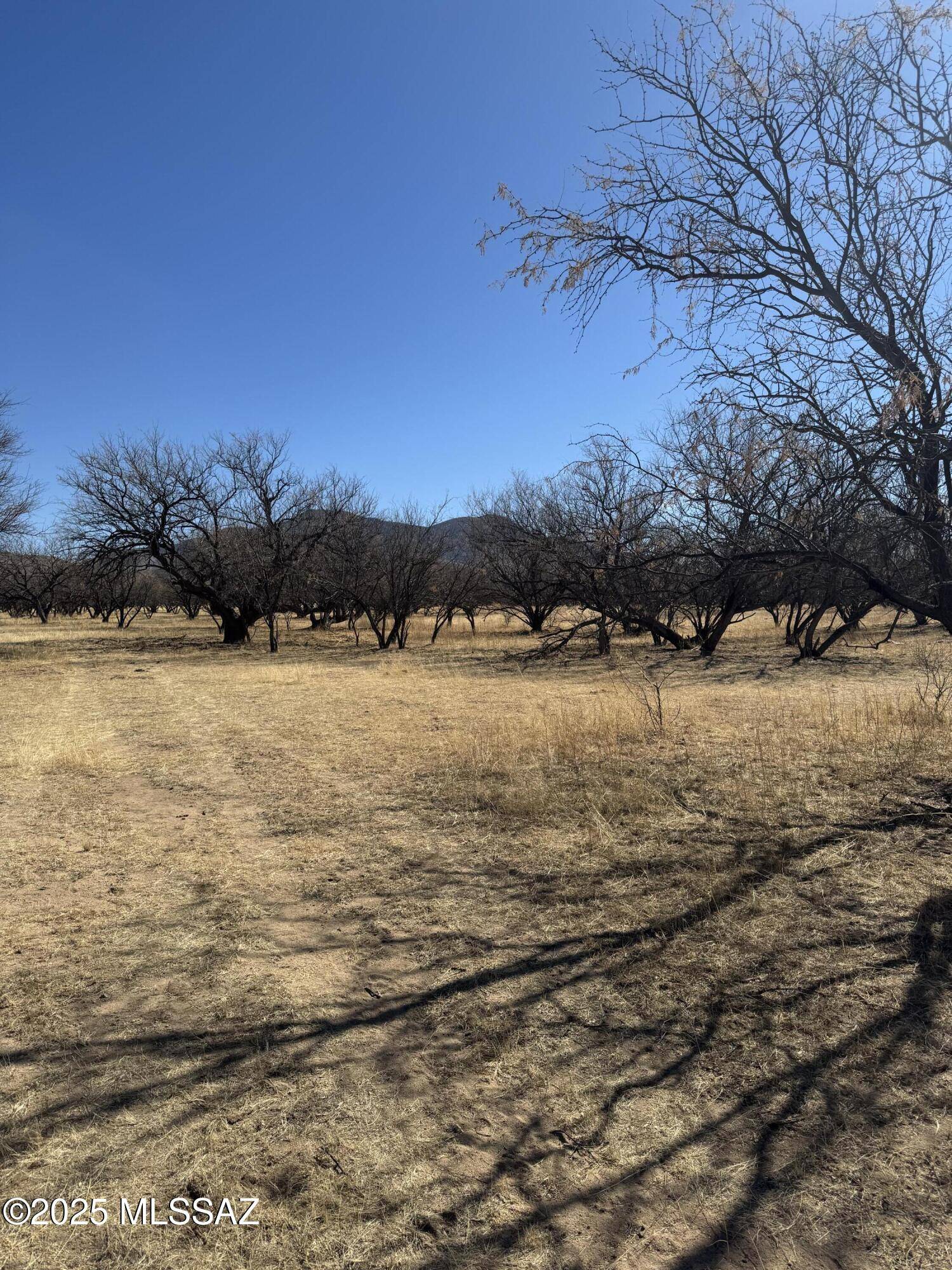 Nogales, AZ 85621,000 No Address  #1