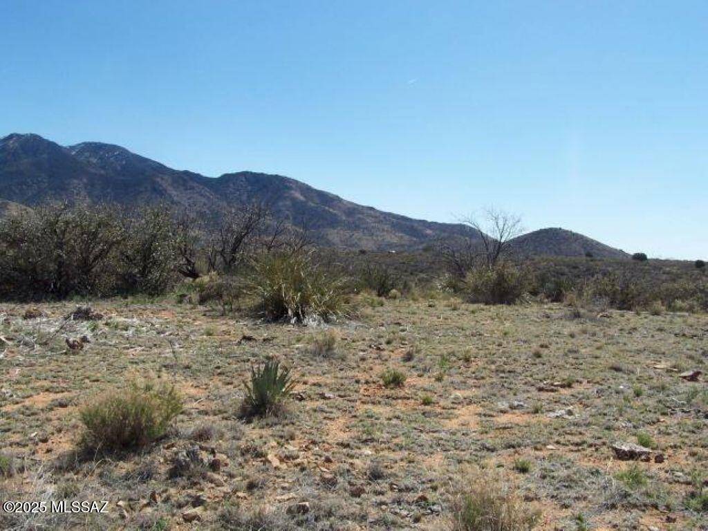 Willcox, AZ 85643,36.58ac W Four Feathers Loop #69