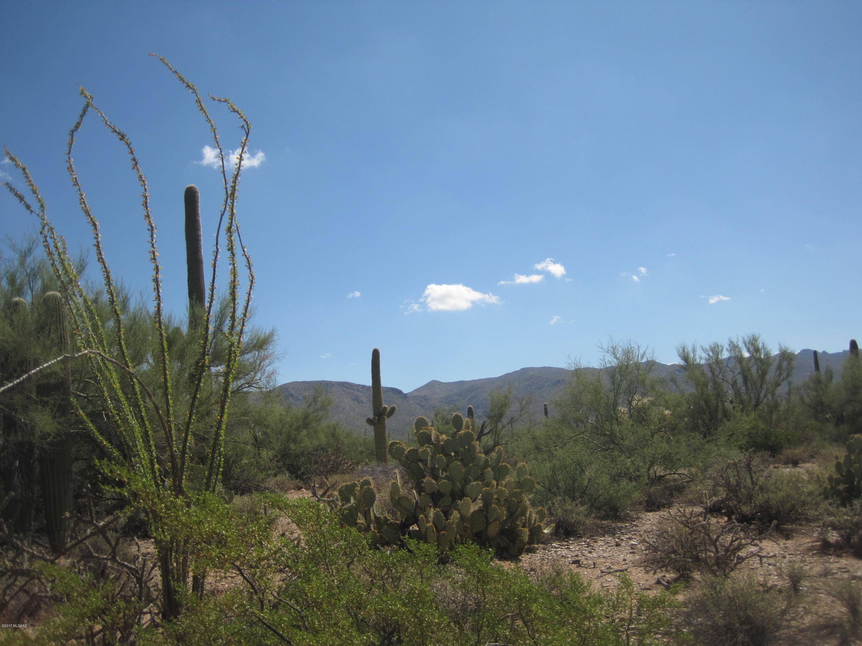 Marana, AZ 85658,000 N Owl Head Ranch Road #0