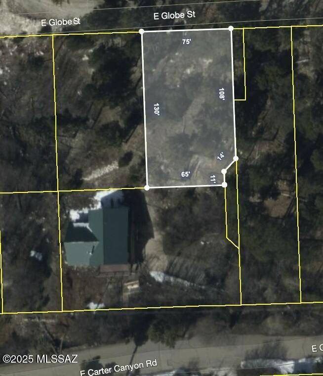 Mt. Lemmon, AZ 85619,11188 E Globe Street #9