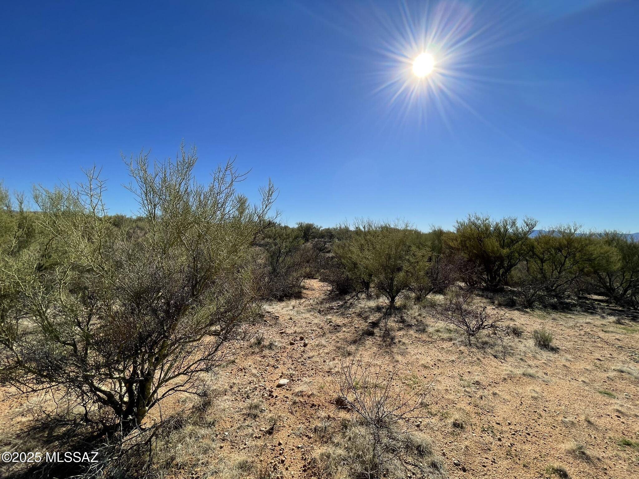 Tucson, AZ 85736,15879 Bolo W Place #247