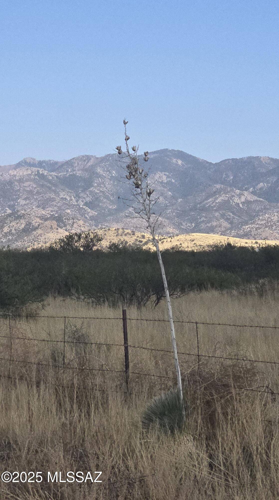 Pearce, AZ 85625,TBD 65 Acr E Sunrise Drive #C