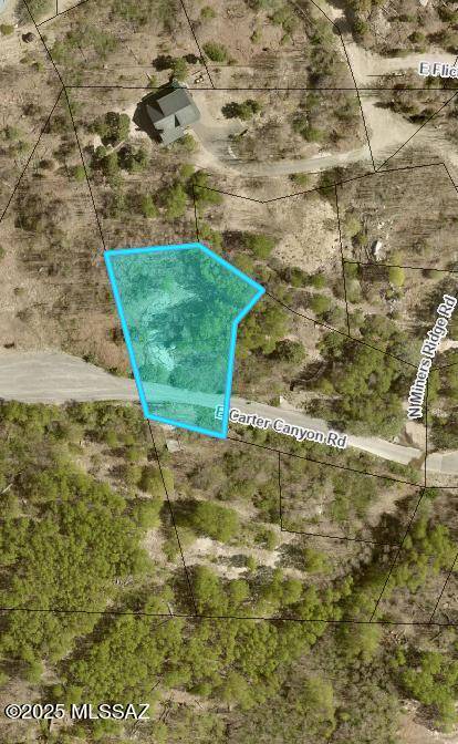 Mt. Lemmon, AZ 85619,10991 E Carter Canyon  #18