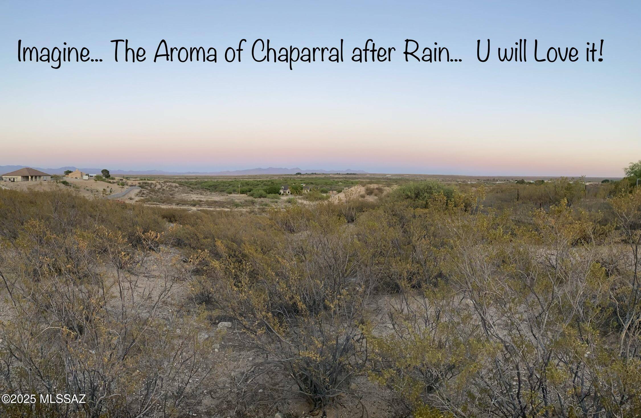 Safford, AZ 85546,TBD Calle de Buena Vista  #6