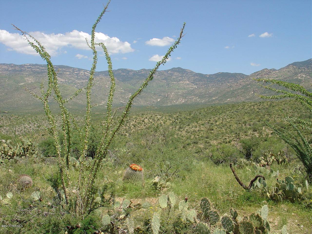 Vail, AZ 85641,7301 S Red Hill Road #84