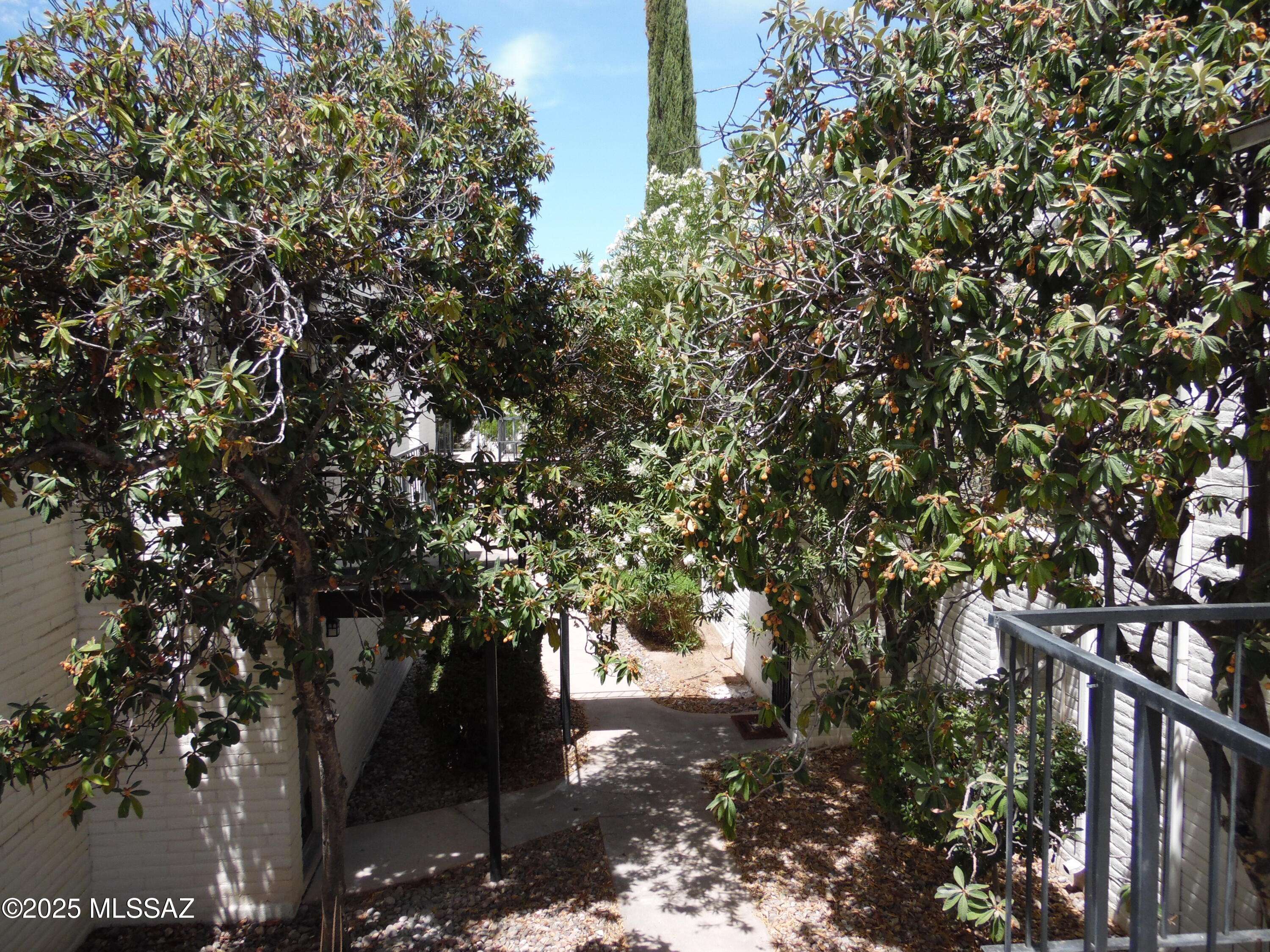 Tucson, AZ 85710,8450 E Old Spanish Trail #237